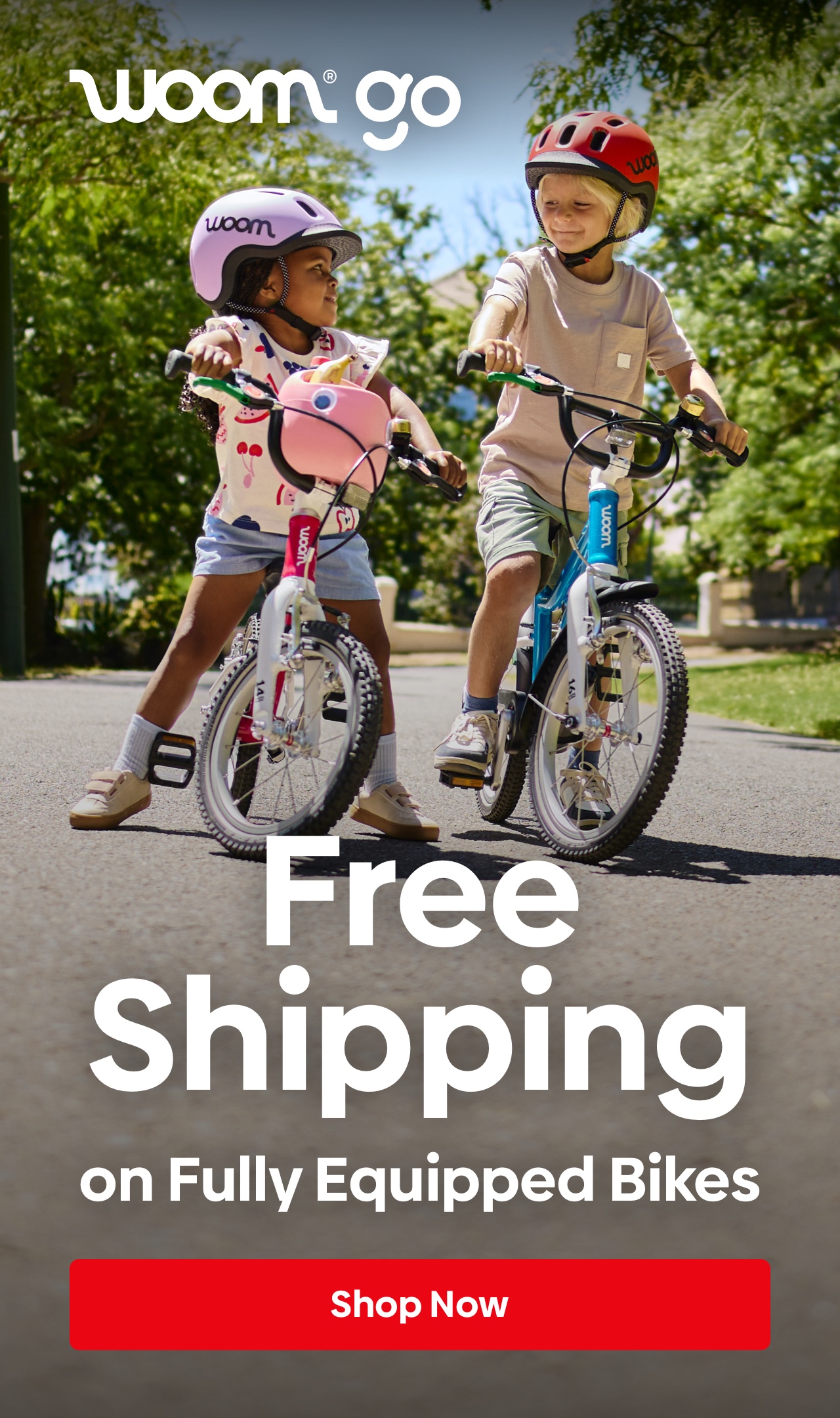 Free Shipping on Fully Equipped Bikes