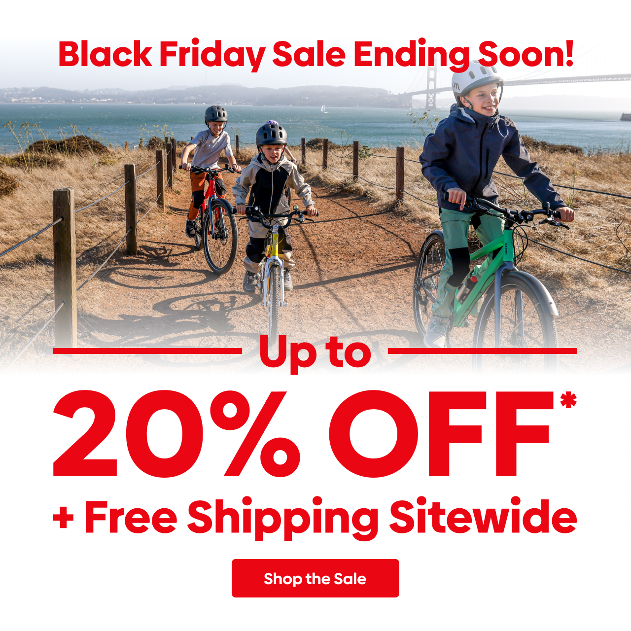 Biggest Sale of the Season! Up to 20% OFF Plus Free Shipping Sitewide