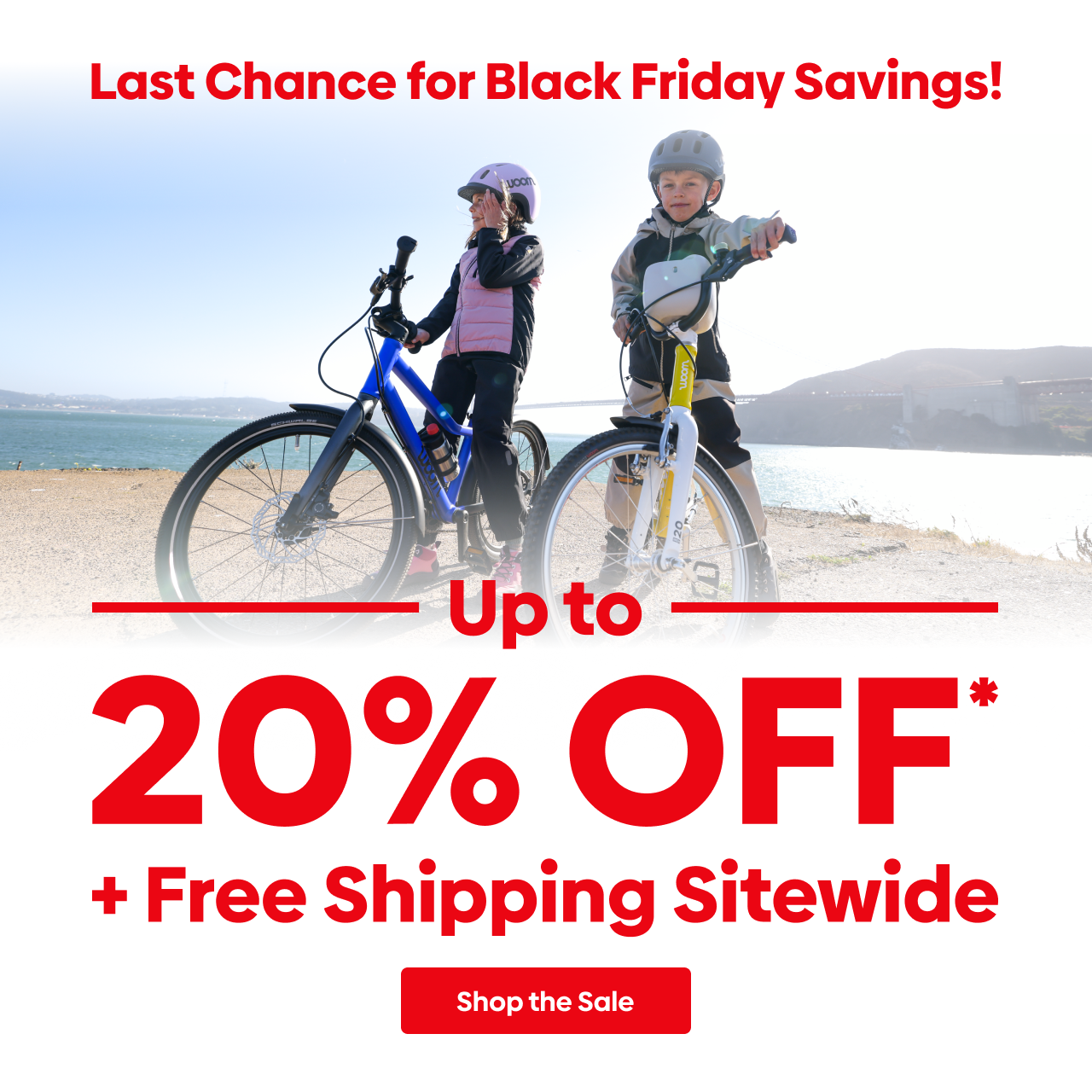 Biggest Sale of the Season! Up to 20% OFF Plus Free Shipping Sitewide