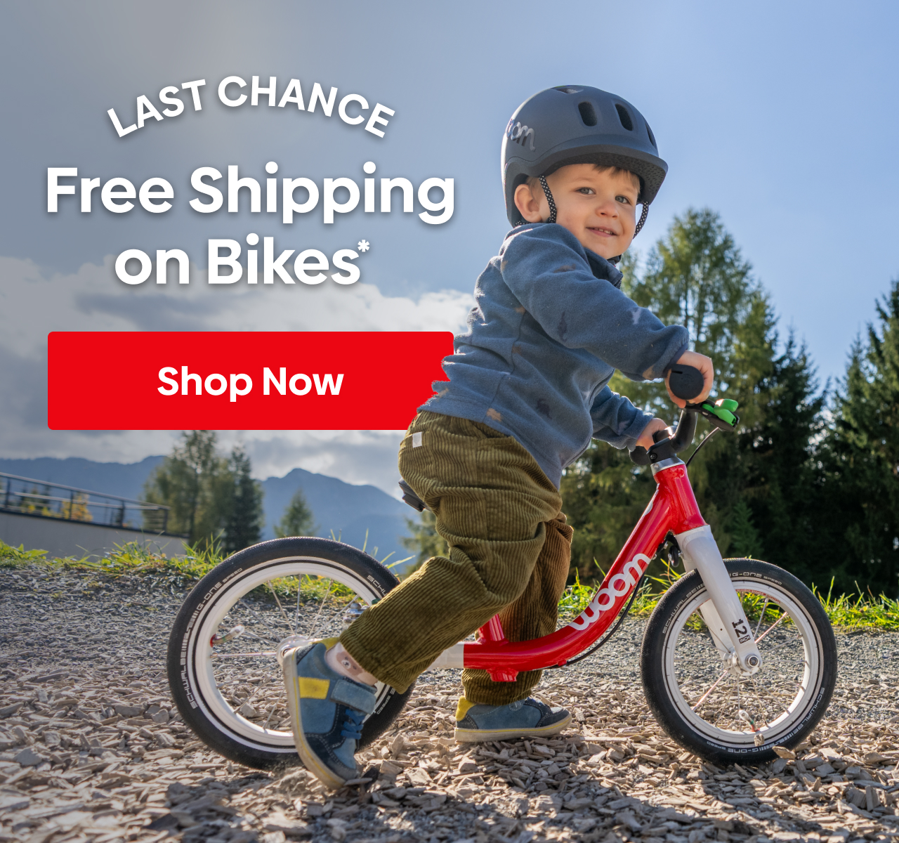 Last Chance: Free Shipping on All Bikes