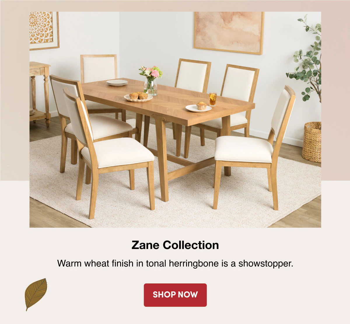 Zane Collection SHOP NOW