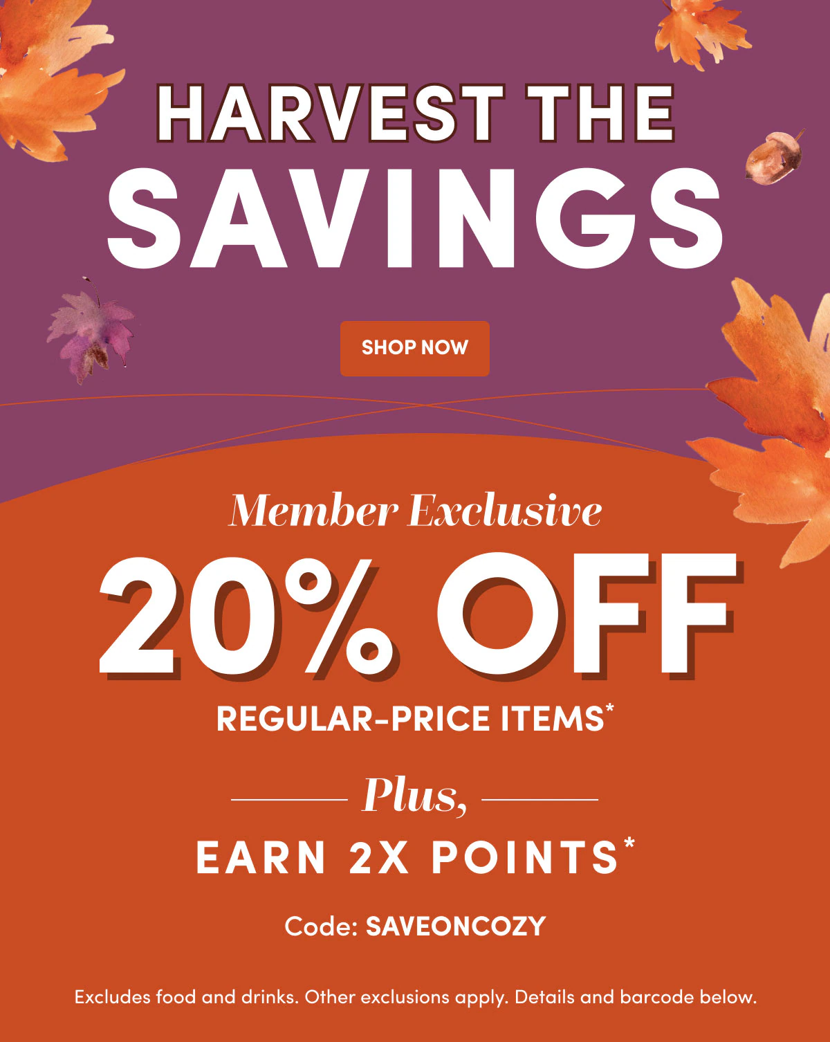 Shop Now 2X Code: SAVEONCOZY