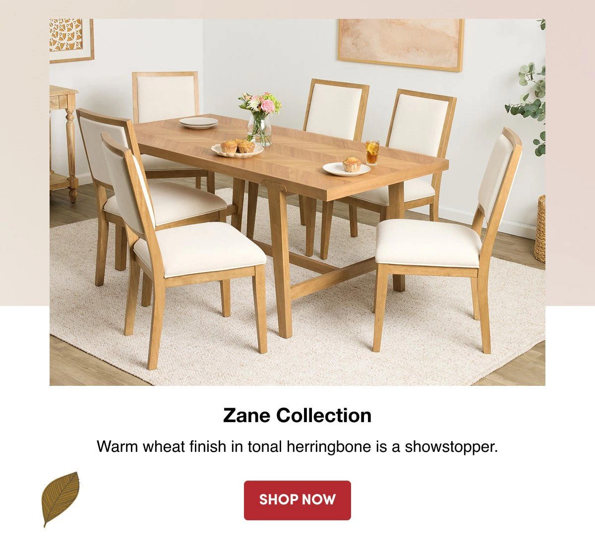 Zane Collection