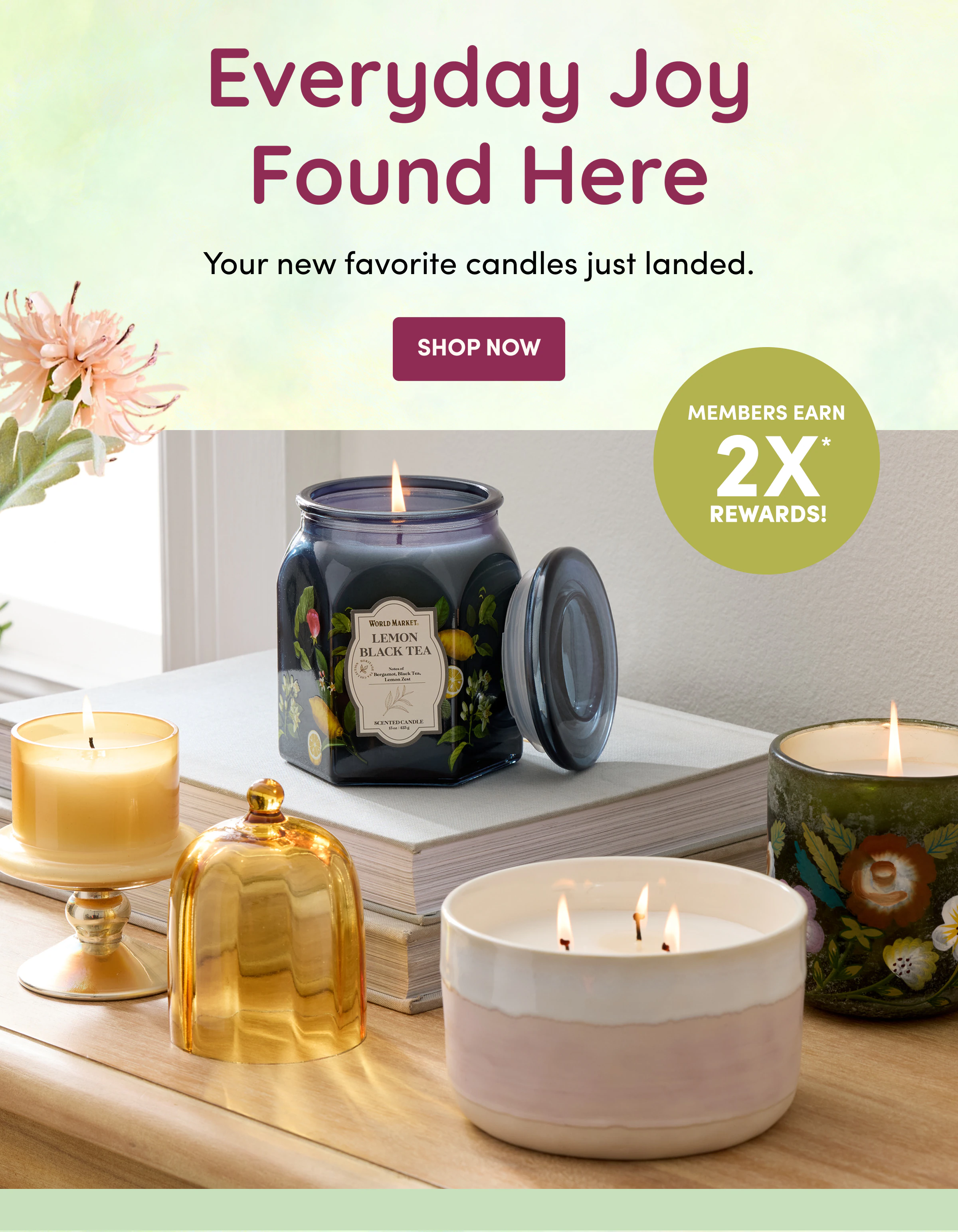 Everyday Joy Found Here