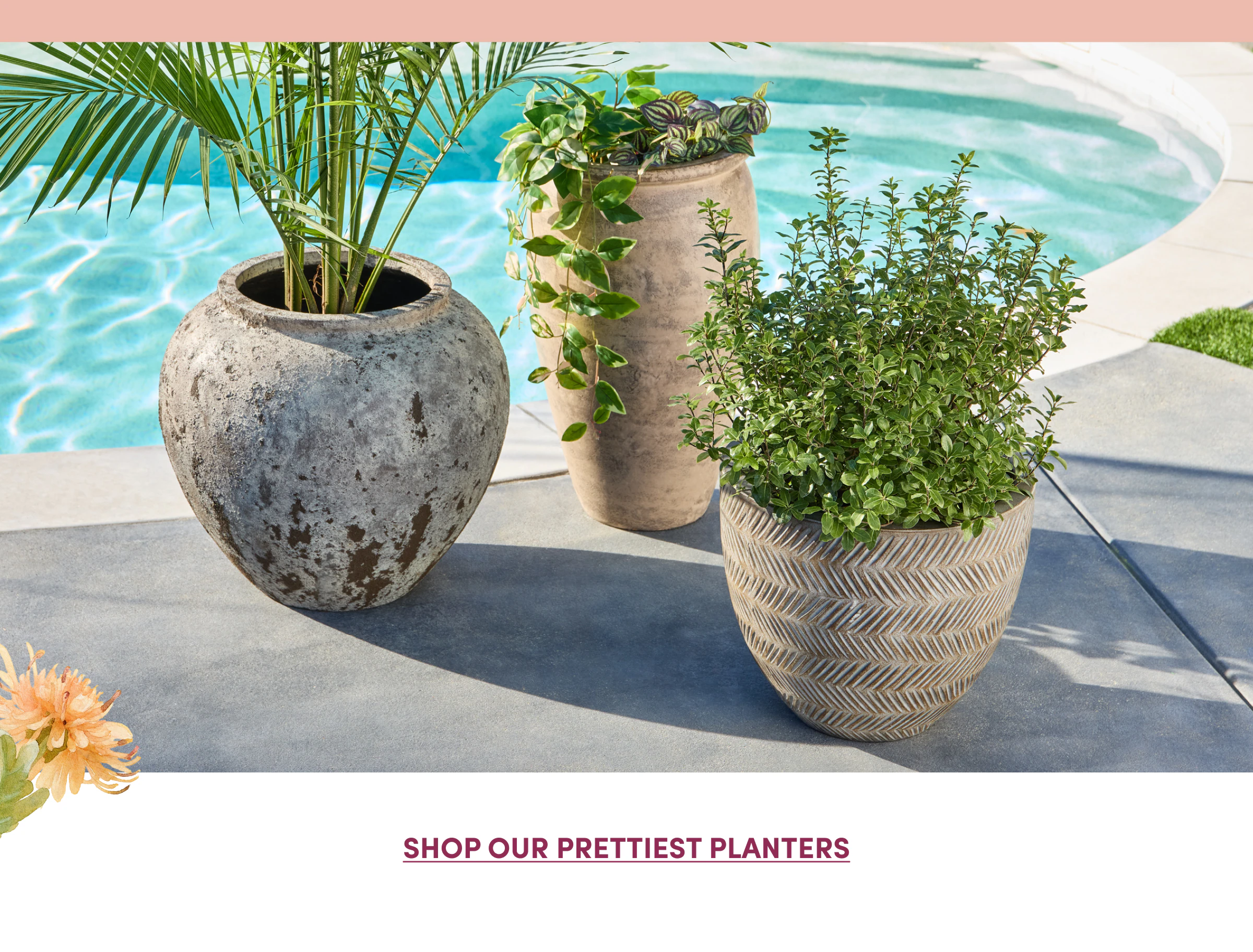 Shop Our Prettiest Planters