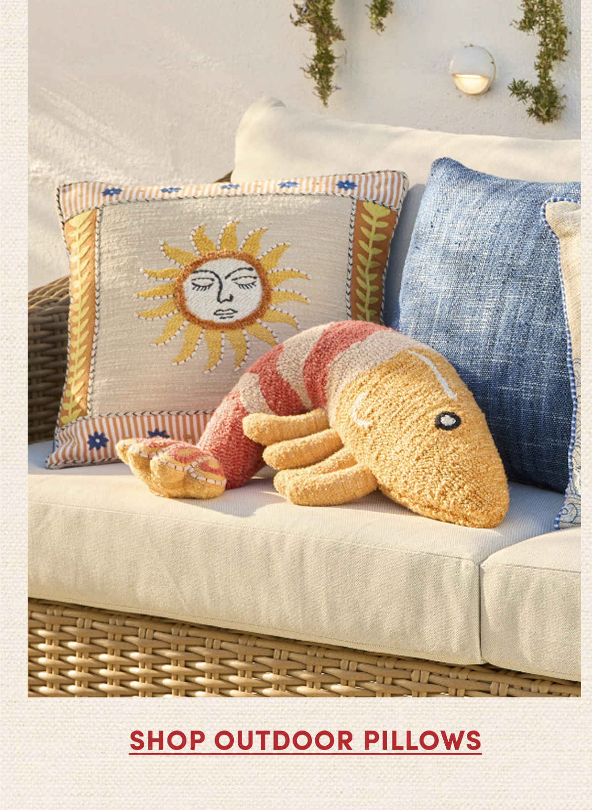 Shop Outdoor Pillows