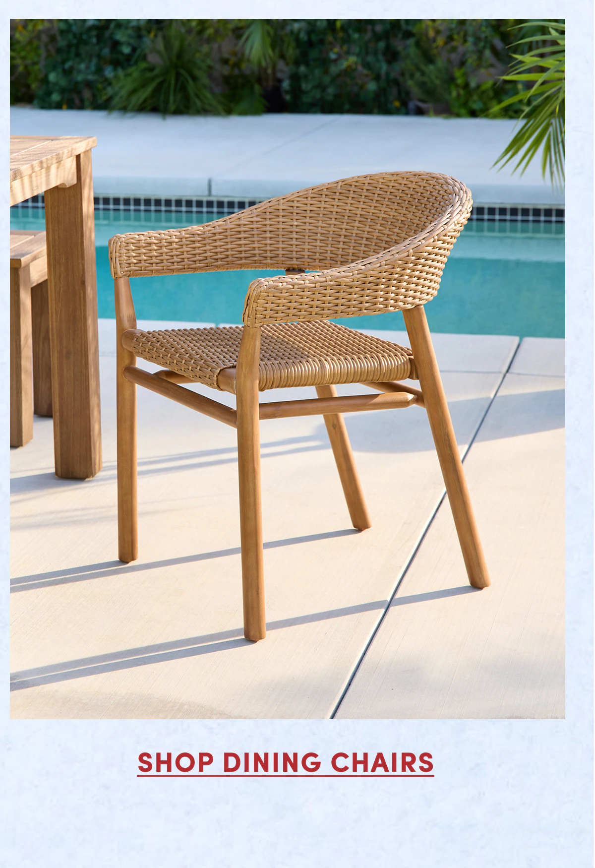 Shop Dining Chairs