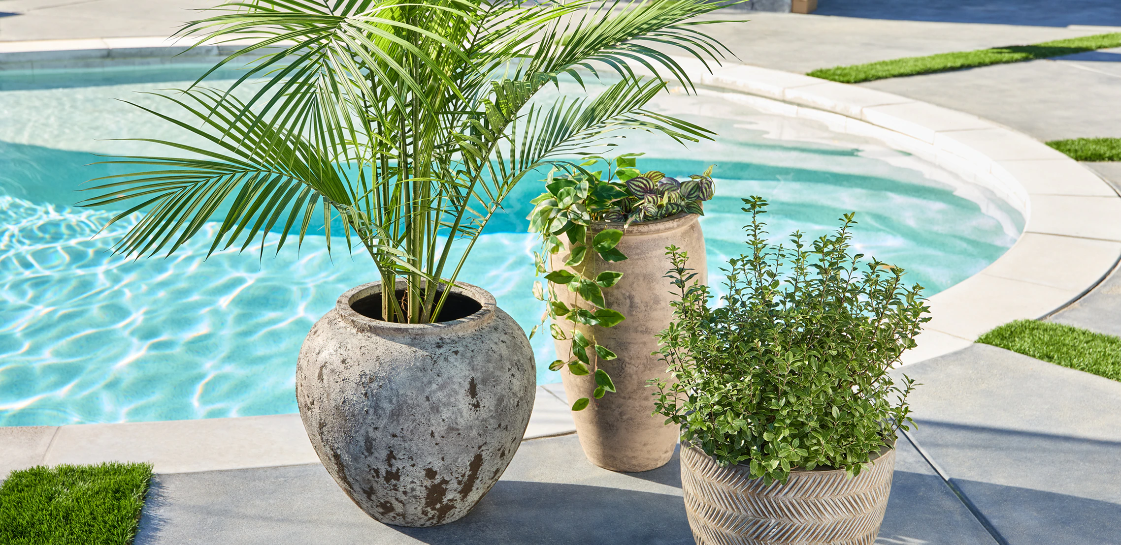 Shop Planters