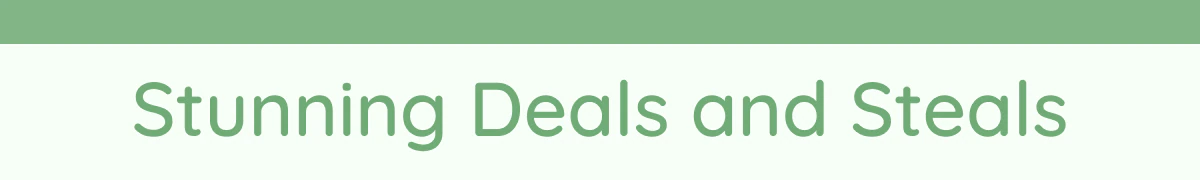 Stunning Deals and Steals