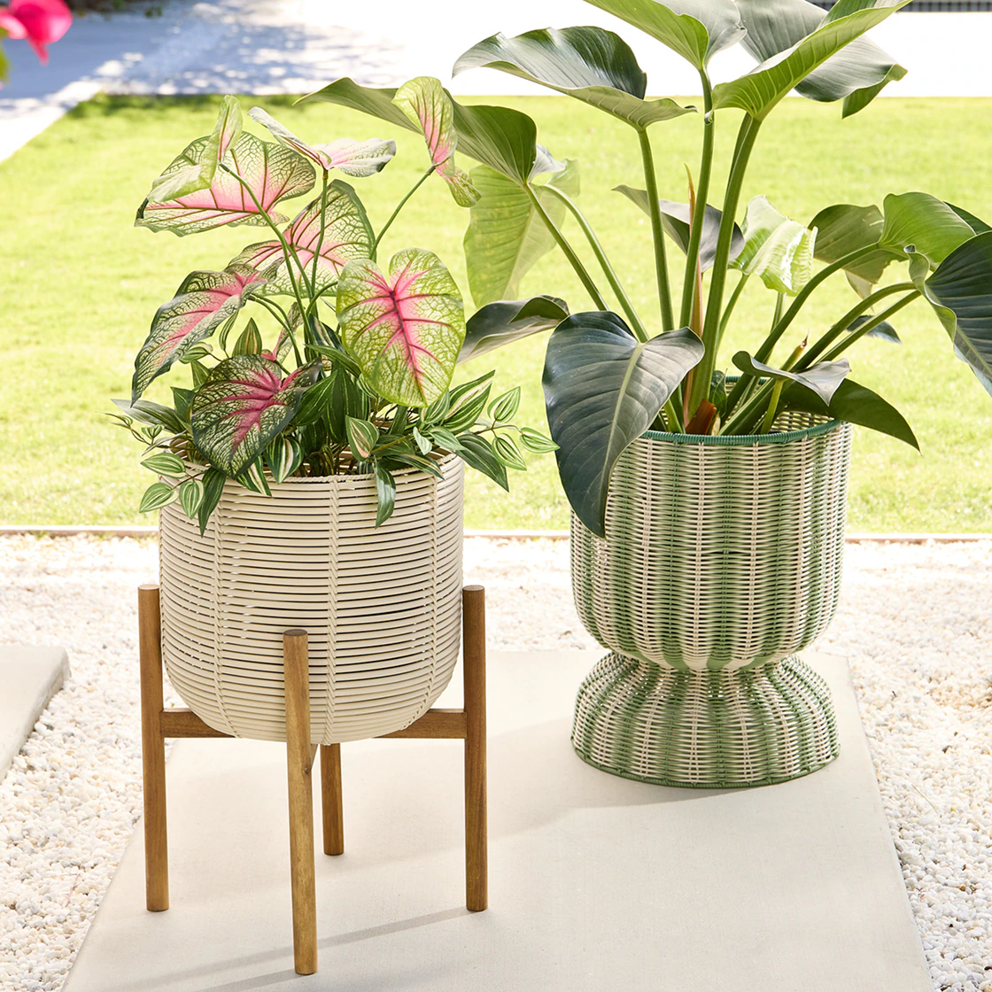 Shop Planters