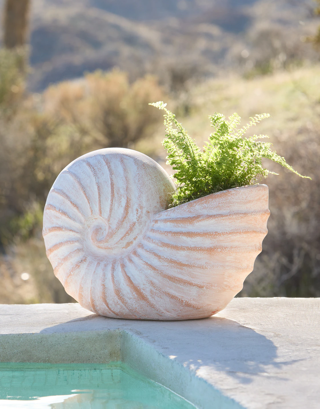 Shop Planters
