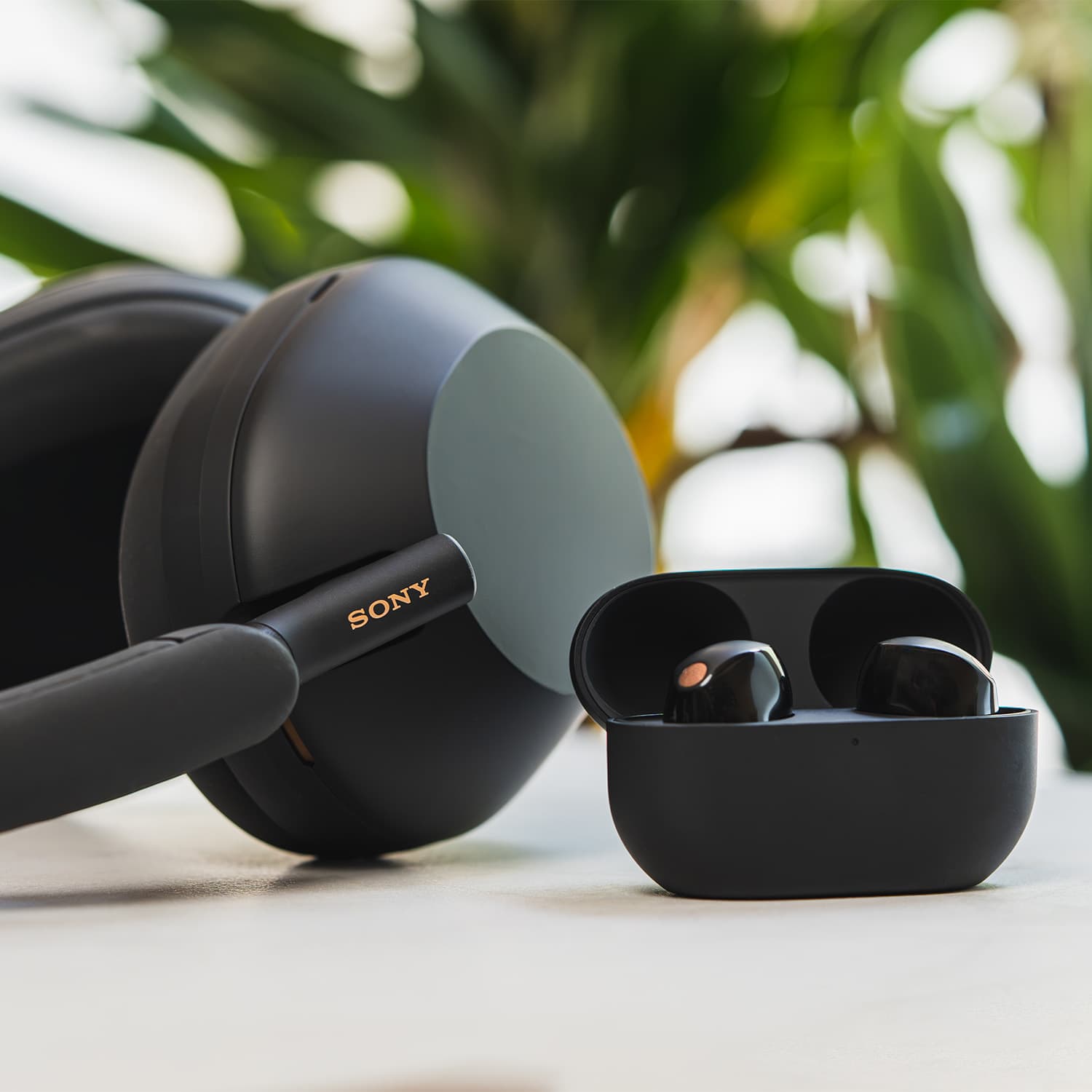 Shop Sony