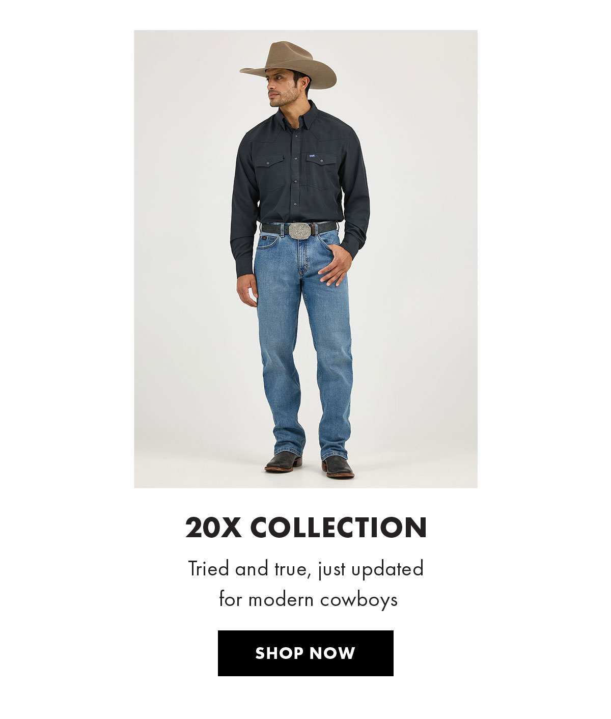 20x Collection