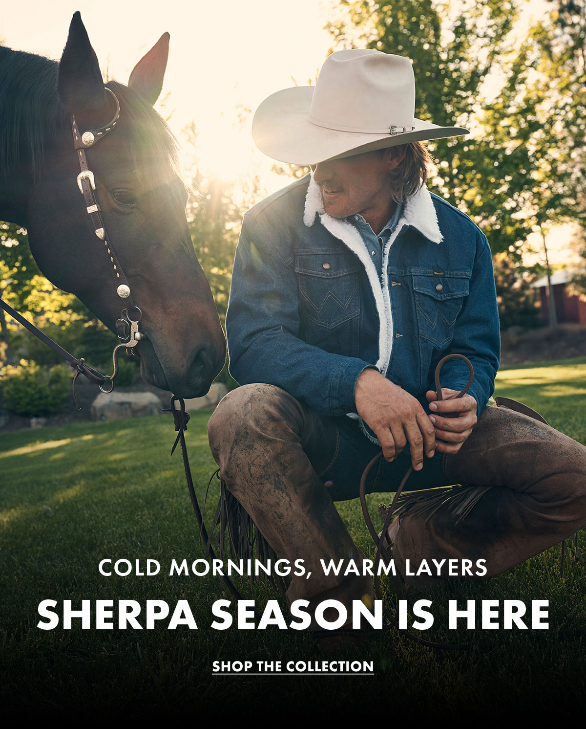 Sherpa Season Is Here