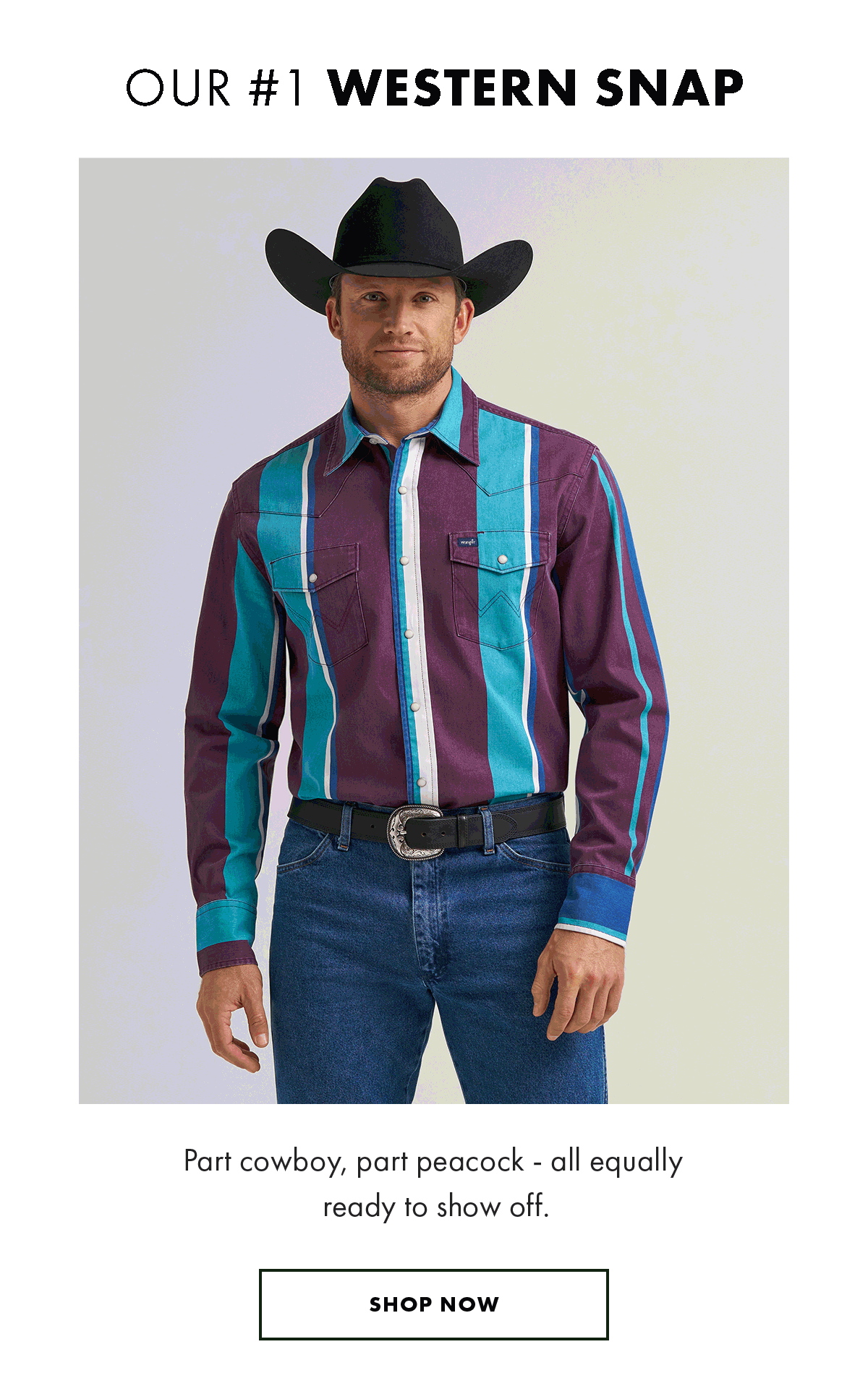 OUR#1 Western Snap - Party Cowboy, Party Peacock - All Equally Ready To Show Off.