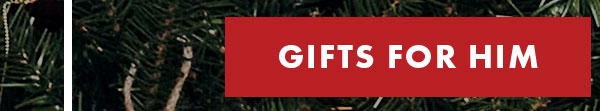 Gifts for him