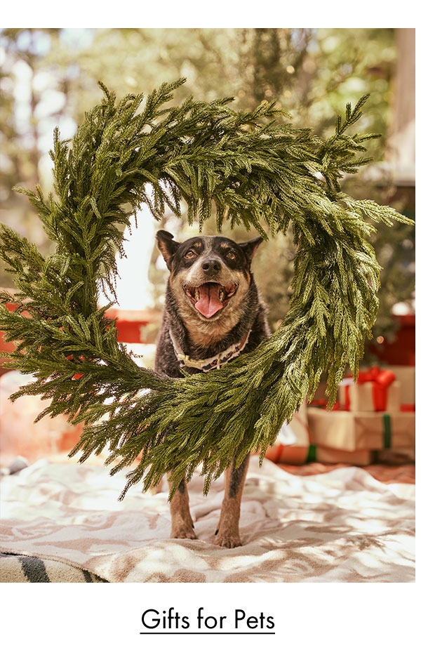 Gifts for Pets