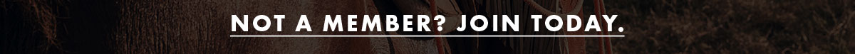 Not a member? Join today.