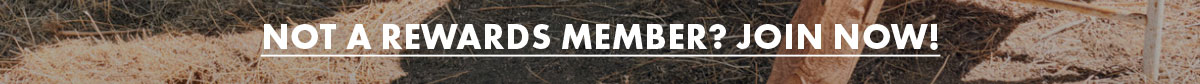 Not a rewards member? Join now!