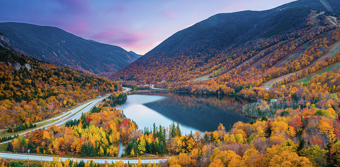 Fall Foliage