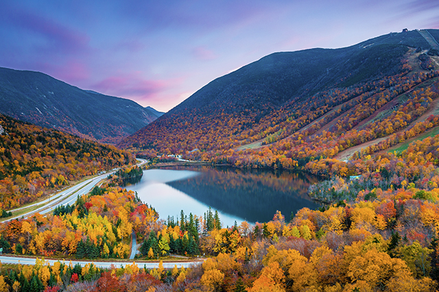 Fall Foliage