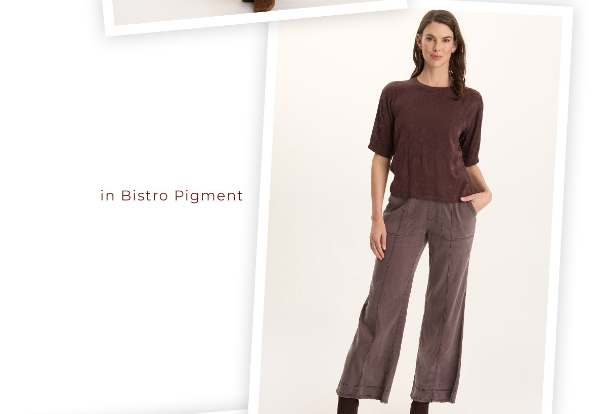 The Chelan Top in Bistro Pigment