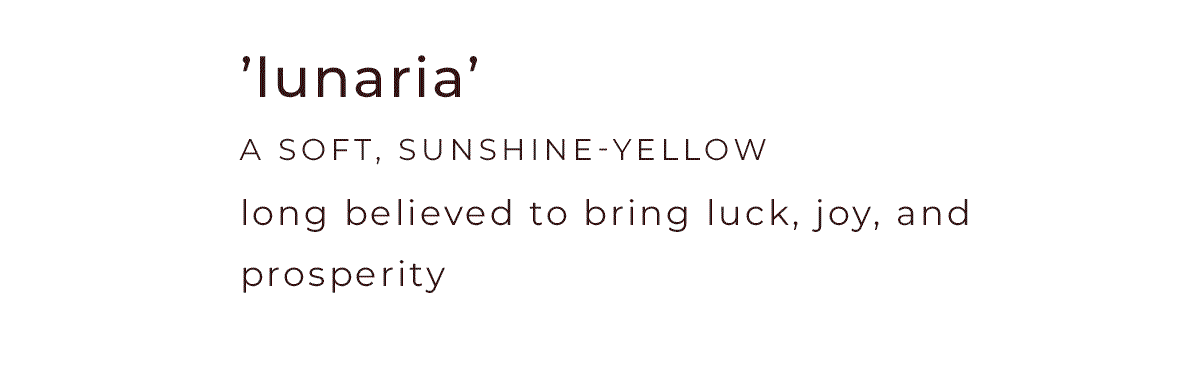 'lunaria' a soft, sunshine-yellow
