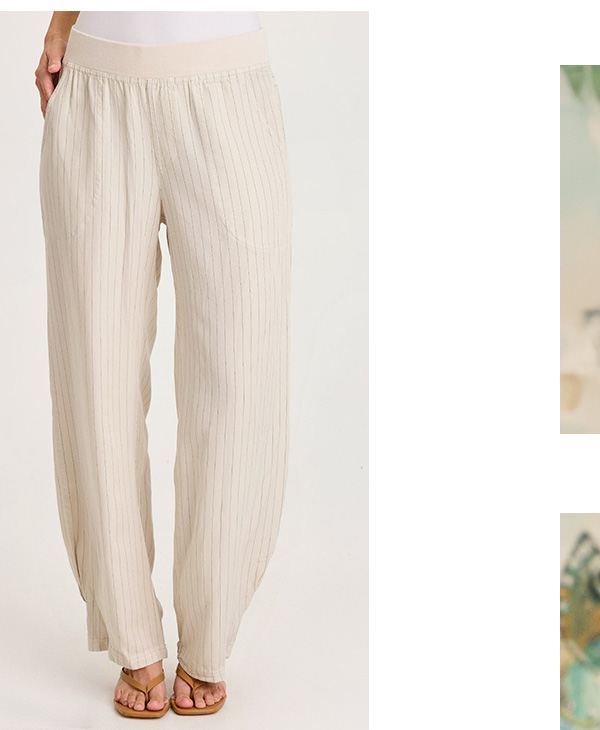 Carell Pinstripe Pleated Leg Pant