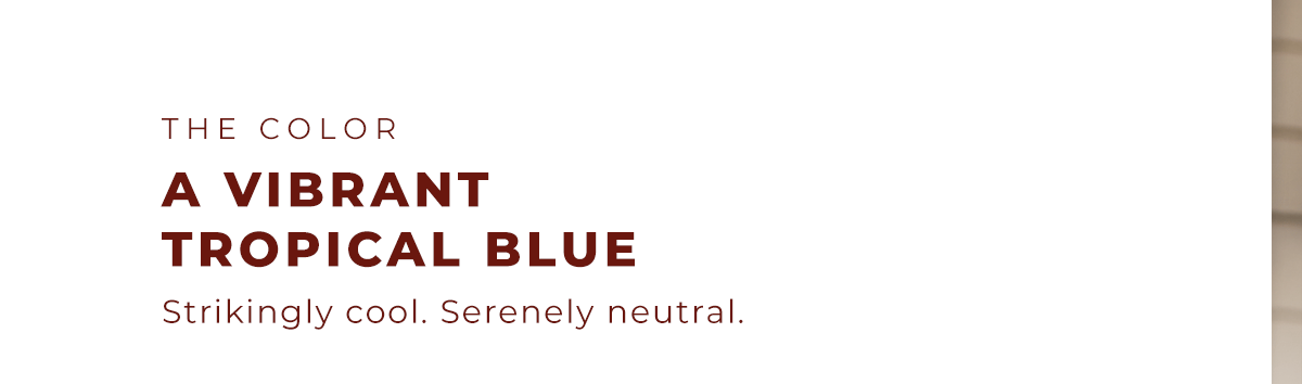 THE COLOR:  A Vibrant Tropical Blue