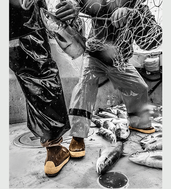 Legacy Lifestyle image
