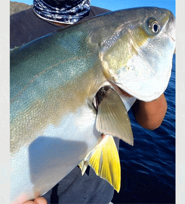 Fishing lifestyle image