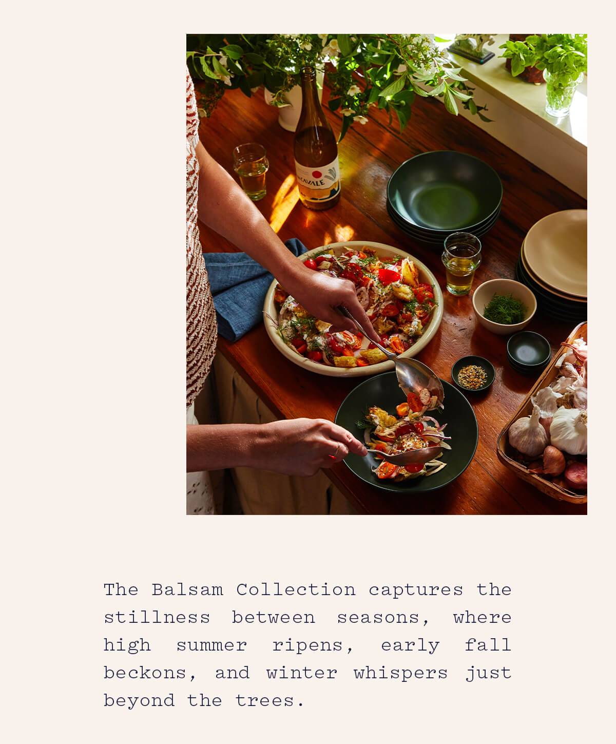 Balsam Collection