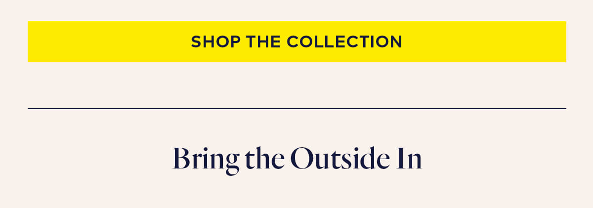 Shop the Collection