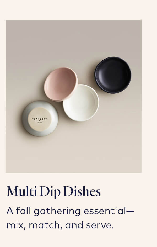 Multi Dip Dishes