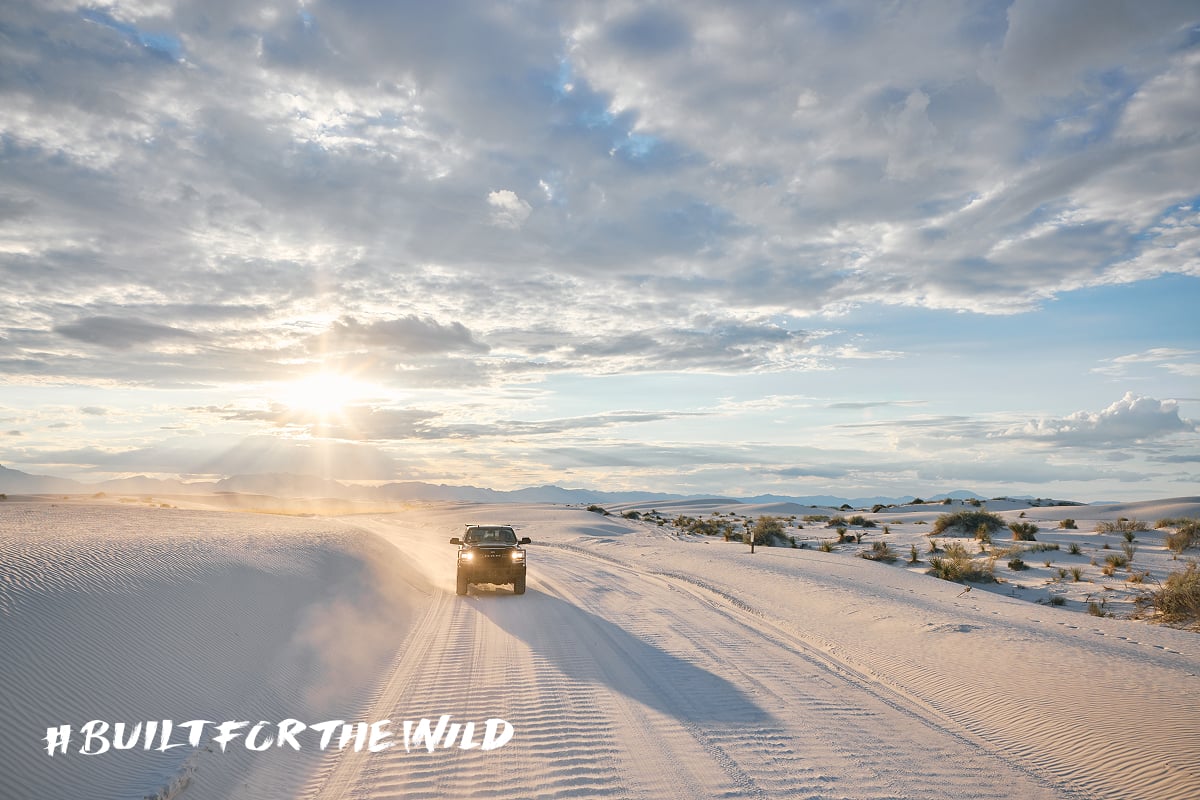Built For The Wild
