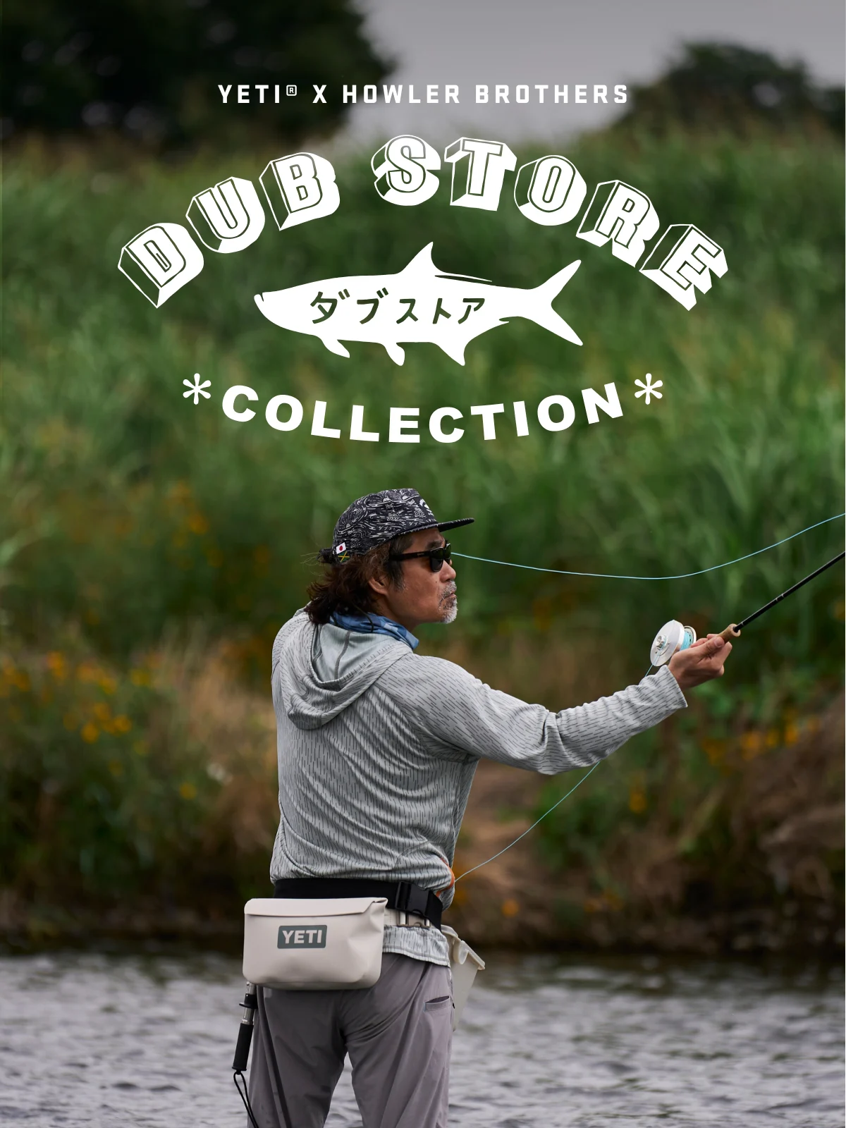 Meet Our New Collection