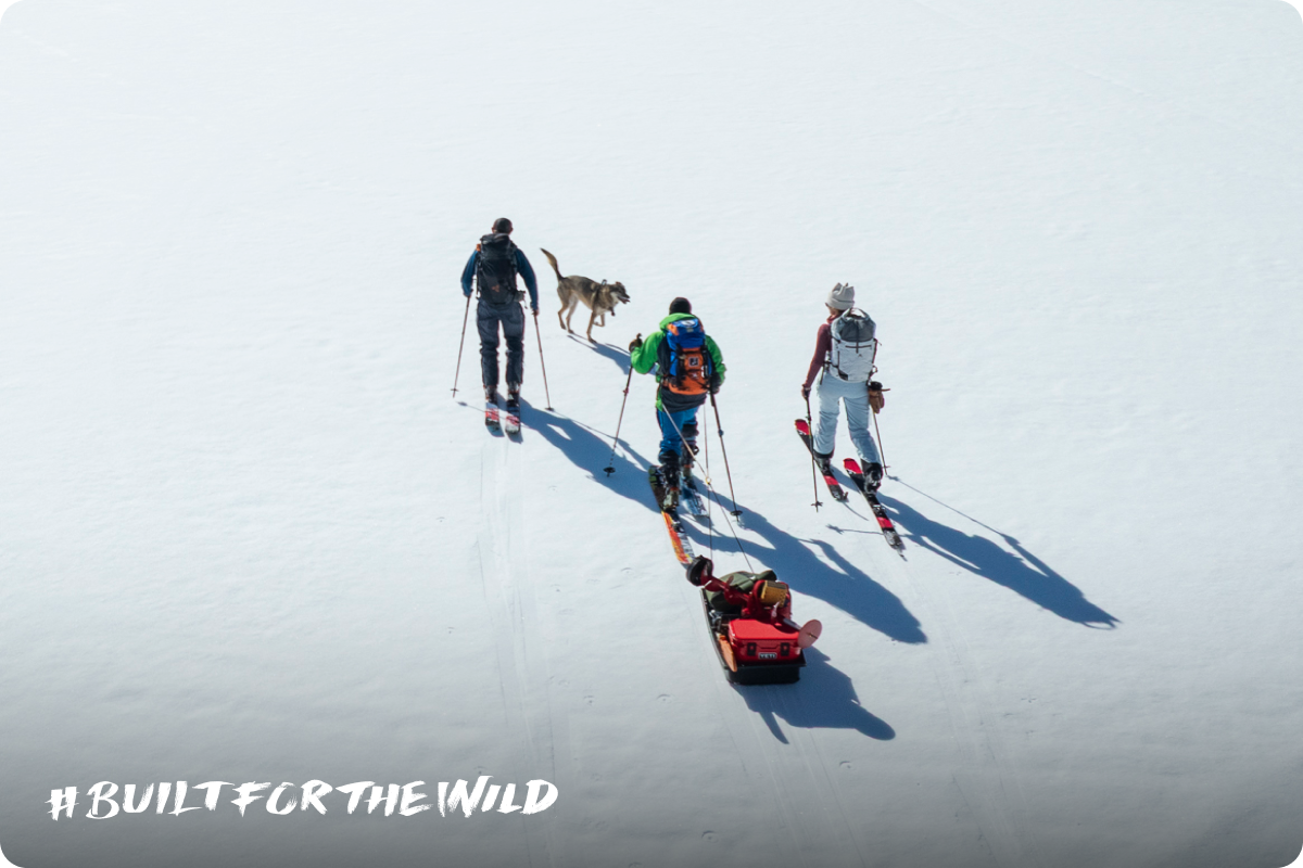Built For The Wild
