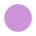 Desert Bloom