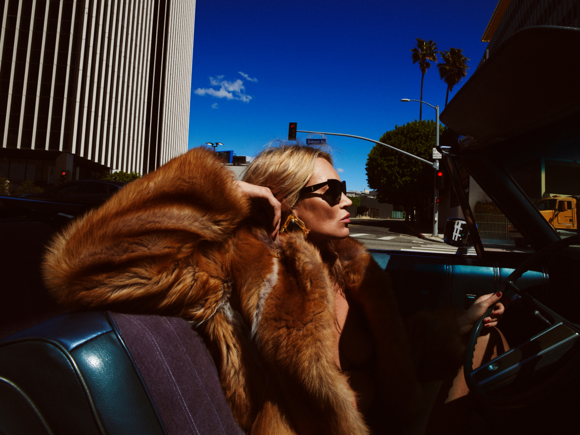 Velvet Heat by Anthony Vaccarello