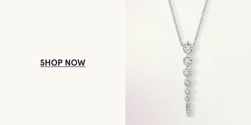 Click here to Shop Now