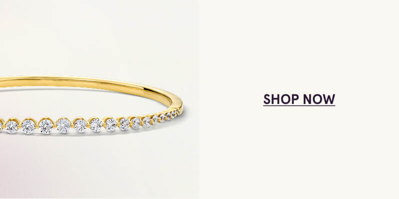Click here to Shop Now