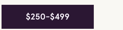 $250 - $499 