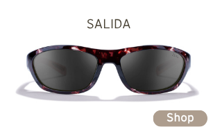 SALIDA