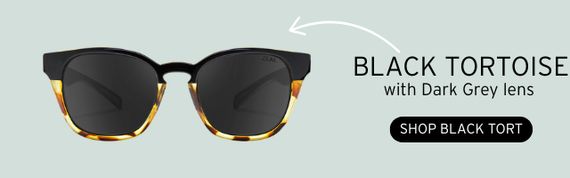 SHOP WINDSOR BLACK TORTOISE