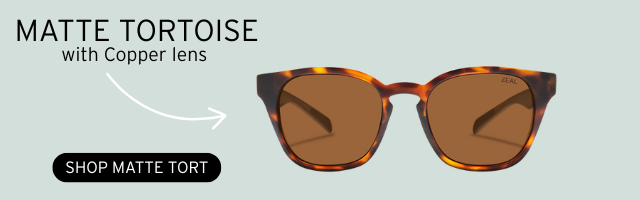 SHOP WINDSOR MATTE TORTOISE