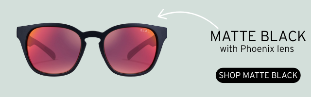 SHOP WINDSOR MATTE BLACK PHOENIX
