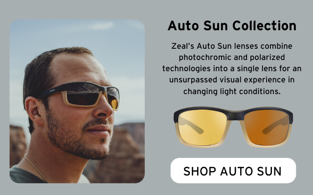 Shop Auto Sun