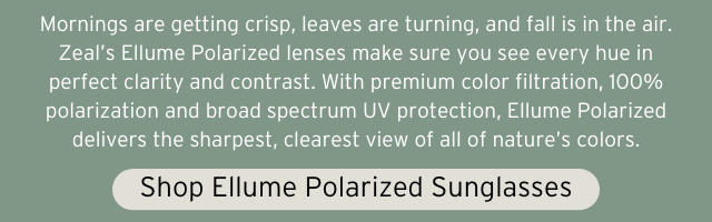 SHOP ELLUME POLARIZED