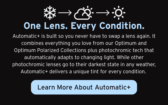 POLARIZED + PHOTOCHROMIC LENS TECHNOLOGY
