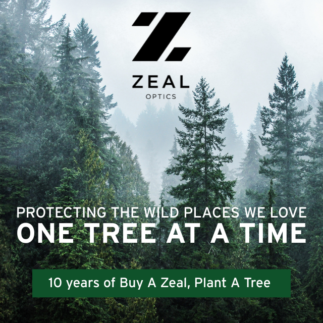 10 YEARS OF PLANTING TREE 